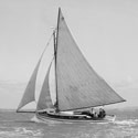 arethusa-sail-thumb
